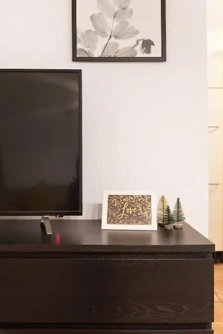 Spacious Central Apartment Vienna